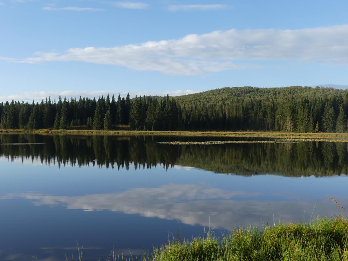 Schott'S Lake Conference & Resort Sundre Esterno foto